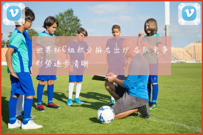 世界杯C组积分排名出炉 各队竞争形势逐步清晰