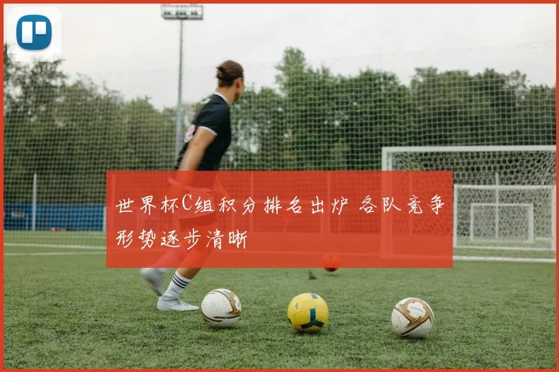 世界杯C组积分排名出炉 各队竞争形势逐步清晰