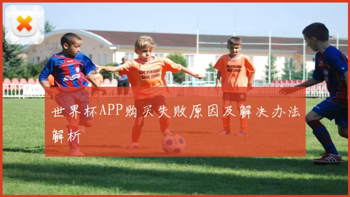 世界杯APP购买失败原因及解决办法解析