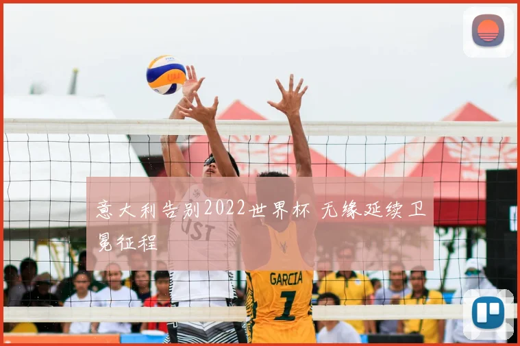 意大利告别2022世界杯 无缘延续卫冕征程