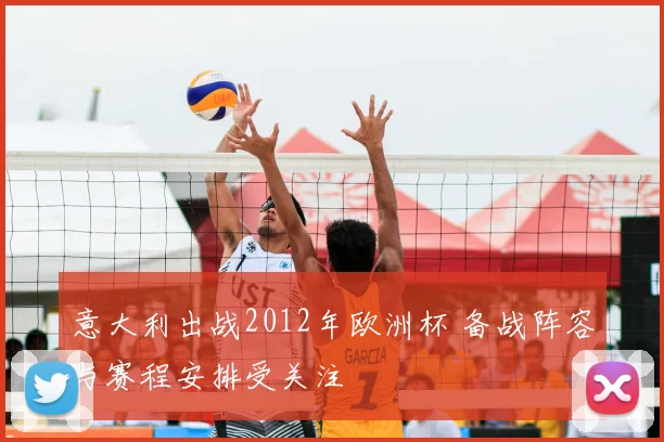 意大利出战2012年欧洲杯 备战阵容与赛程安排受关注