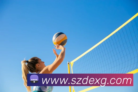 App Interface Preview