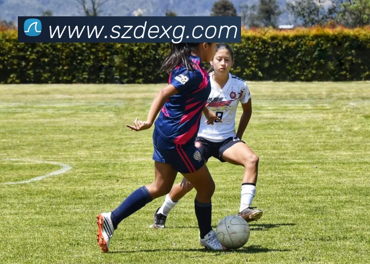 买球官方APP 封面图